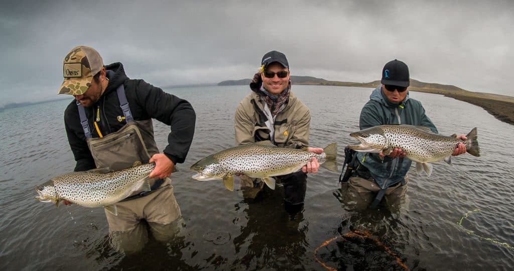 Villingavatnsárós urriði