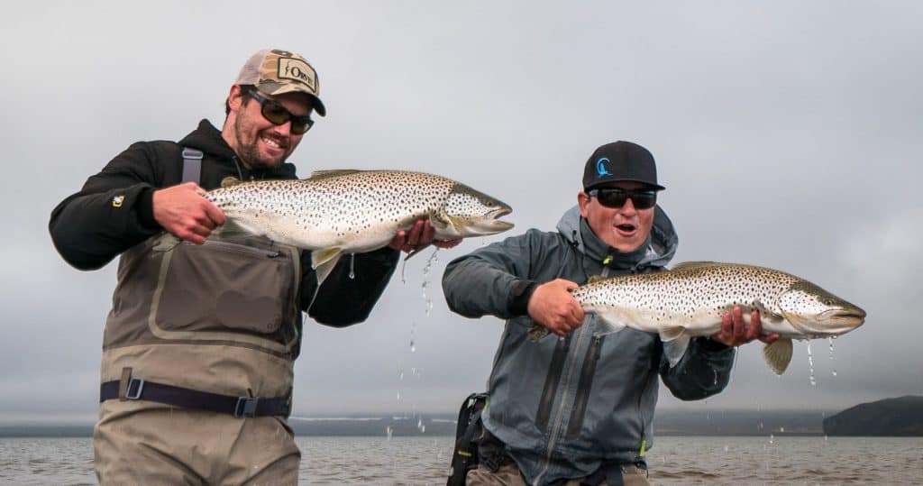 Villingavatnsárós urriði